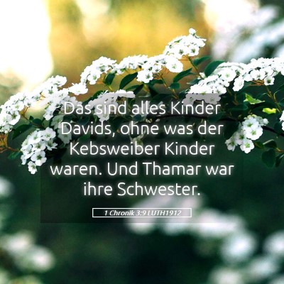 Picture 05 - 1 Chronik 3:9 LUTH1912 - Das sind alles Kinder Davids, ohne was der - Bible Verse Picture