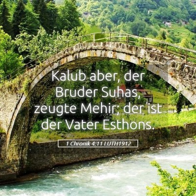 Picture 05 - 1 Chronik 4:11 LUTH1912 - Kalub aber, der Bruder Suhas, zeugte Mehir; der - Bible Verse Picture
