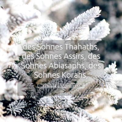 Picture 05 - 1 Chronik 6:37 LUTH1912 - des Sohnes Thahaths, des Sohnes Assirs, des - Bible Verse Picture