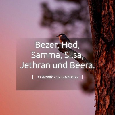 Picture 05 - 1 Chronik 7:37 LUTH1912 - Bezer, Hod, Samma, Silsa, Jethran und - Bible Verse Picture
