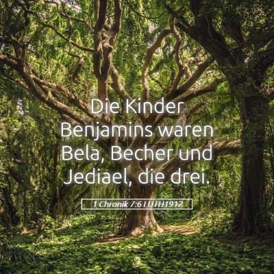 Picture 05 - 1 Chronik 7:6 LUTH1912 - Die Kinder Benjamins waren Bela, Becher und - Bible Verse Picture