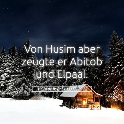 Picture 05 - 1 Chronik 8:11 LUTH1912 - Von Husim aber zeugte er Abitob und - Bible Verse Picture