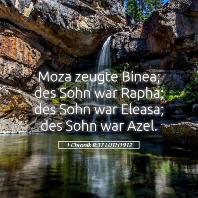 Picture 05 - 1 Chronik 8:37 LUTH1912 - Moza zeugte Binea; des Sohn war Rapha; des Sohn - Bible Verse Picture