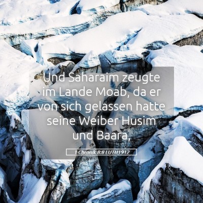 Picture 05 - 1 Chronik 8:8 LUTH1912 - Und Saharaim zeugte im Lande Moab, da er von sich - Bible Verse Picture