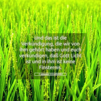 Picture 05 - 1 Johannes 1:5 LUTH1912 - Und das ist die Verkündigung, die wir von ihm - Bible Verse Picture