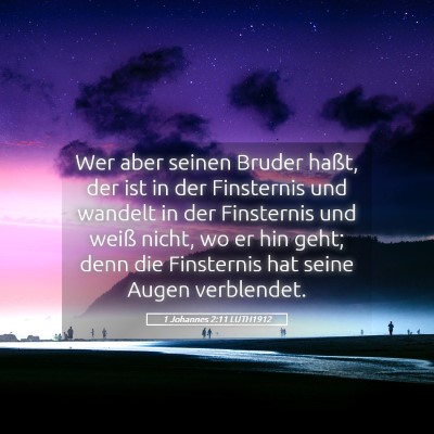 Picture 05 - 1 Johannes 2:11 LUTH1912 - Wer aber seinen Bruder haßt, der ist in der - Bible Verse Picture