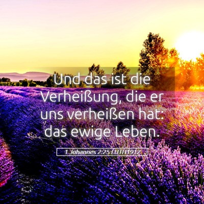 Picture 05 - 1 Johannes 2:25 LUTH1912 - Und das ist die Verheißung, die er uns - Bible Verse Picture