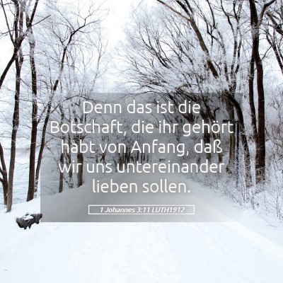 Picture 05 - 1 Johannes 3:11 LUTH1912 - Denn das ist die Botschaft, die ihr gehört habt - Bible Verse Picture
