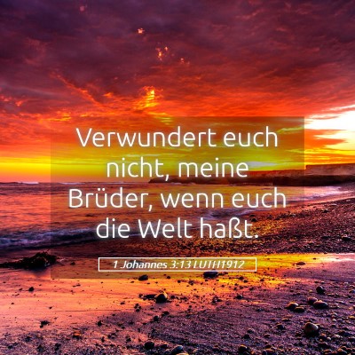 Picture 05 - 1 Johannes 3:13 LUTH1912 - Verwundert euch nicht, meine Brüder, wenn euch - Bible Verse Picture