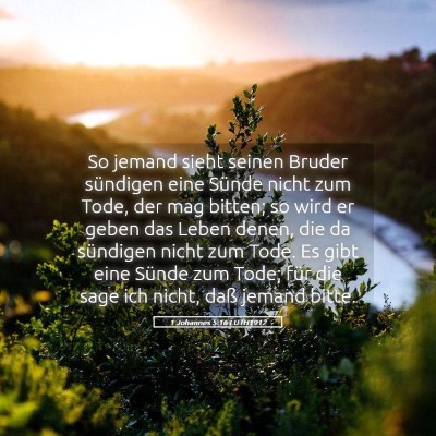 Picture 05 - 1 Johannes 5:16 LUTH1912 - So jemand sieht seinen Bruder sündigen eine - Bible Verse Picture
