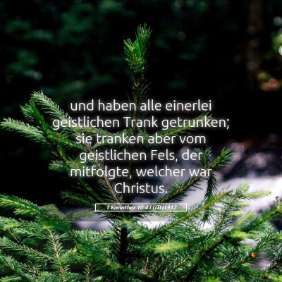 Picture 05 - 1 Korinther 10:4 LUTH1912 - und haben alle einerlei geistlichen Trank - Bible Verse Picture