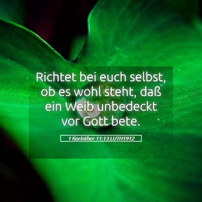 Picture 05 - 1 Korinther 11:13 LUTH1912 - Richtet bei euch selbst, ob es wohl steht, daß - Bible Verse Picture