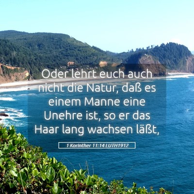 Picture 05 - 1 Korinther 11:14 LUTH1912 - Oder lehrt euch auch nicht die Natur, daß es - Bible Verse Picture