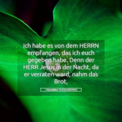 Picture 05 - 1 Korinther 11:23 LUTH1912 - Ich habe es von dem HERRN empfangen, das ich euch - Bible Verse Picture