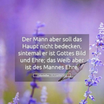 Picture 05 - 1 Korinther 11:7 LUTH1912 - Der Mann aber soll das Haupt nicht bedecken, - Bible Verse Picture