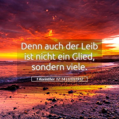 Picture 05 - 1 Korinther 12:14 LUTH1912 - Denn auch der Leib ist nicht ein Glied, sondern - Bible Verse Picture