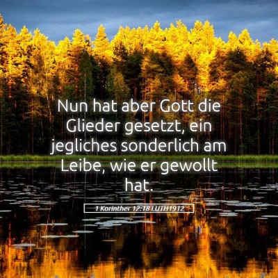 Picture 05 - 1 Korinther 12:18 LUTH1912 - Nun hat aber Gott die Glieder gesetzt, ein - Bible Verse Picture