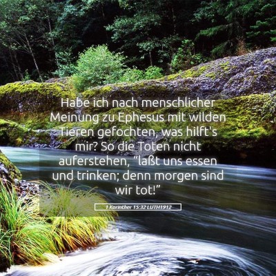 Picture 05 - 1 Korinther 15:32 LUTH1912 - Habe ich nach menschlicher Meinung zu Ephesus mit - Bible Verse Picture