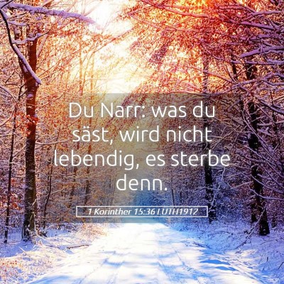 Picture 05 - 1 Korinther 15:36 LUTH1912 - Du Narr: was du säst, wird nicht lebendig, es - Bible Verse Picture