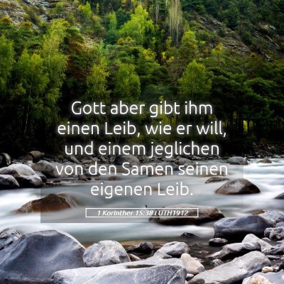 Picture 05 - 1 Korinther 15:38 LUTH1912 - Gott aber gibt ihm einen Leib, wie er will, und - Bible Verse Picture