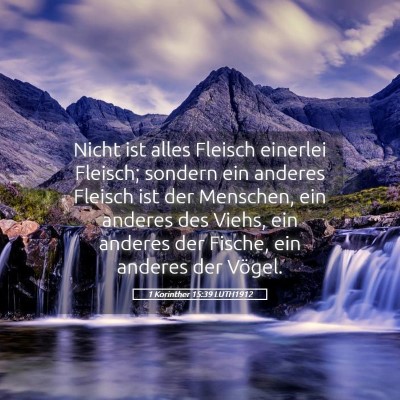 Picture 05 - 1 Korinther 15:39 LUTH1912 - Nicht ist alles Fleisch einerlei Fleisch; sondern - Bible Verse Picture