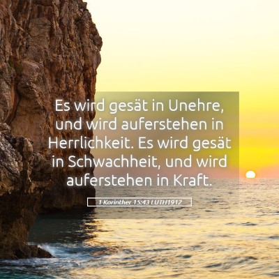 Picture 05 - 1 Korinther 15:43 LUTH1912 - Es wird gesät in Unehre, und wird auferstehen in - Bible Verse Picture