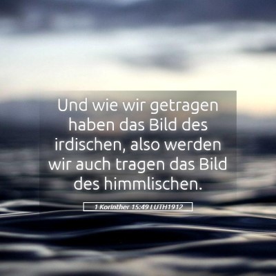 Picture 05 - 1 Korinther 15:49 LUTH1912 - Und wie wir getragen haben das Bild des - Bible Verse Picture