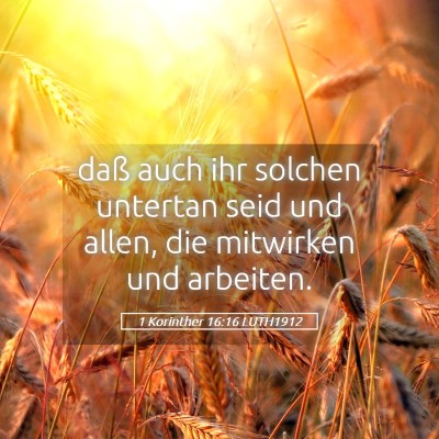 Picture 05 - 1 Korinther 16:16 LUTH1912 - daß auch ihr solchen untertan seid und allen, - Bible Verse Picture