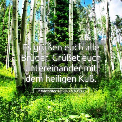 Picture 05 - 1 Korinther 16:20 LUTH1912 - Es grüßen euch alle Brüder. Grüßet euch - Bible Verse Picture
