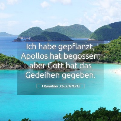 Picture 05 - 1 Korinther 3:6 LUTH1912 - Ich habe gepflanzt, Apollos hat begossen; aber - Bible Verse Picture
