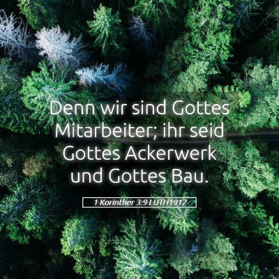 Picture 05 - 1 Korinther 3:9 LUTH1912 - Denn wir sind Gottes Mitarbeiter; ihr seid Gottes - Bible Verse Picture