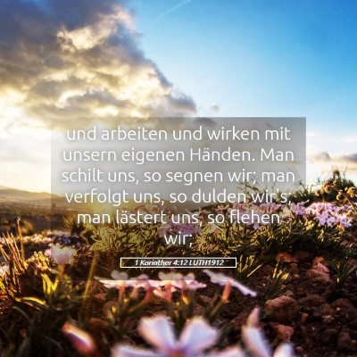 Picture 05 - 1 Korinther 4:12 LUTH1912 - und arbeiten und wirken mit unsern eigenen - Bible Verse Picture