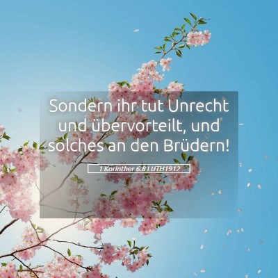 Picture 05 - 1 Korinther 6:8 LUTH1912 - Sondern ihr tut Unrecht und übervorteilt, und - Bible Verse Picture