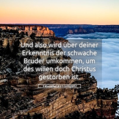 Picture 05 - 1 Korinther 8:11 LUTH1912 - Und also wird über deiner Erkenntnis der - Bible Verse Picture
