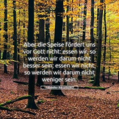 Picture 05 - 1 Korinther 8:8 LUTH1912 - Aber die Speise fördert uns vor Gott nicht: - Bible Verse Picture