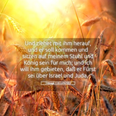 Picture 05 - 1 Könige 1:35 LUTH1912 - Und ziehet mit ihm herauf, und er soll kommen und - Bible Verse Picture