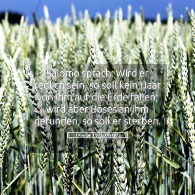 Picture 05 - 1 Könige 1:52 LUTH1912 - Salomo sprach: Wird er redlich sein, so soll kein - Bible Verse Picture