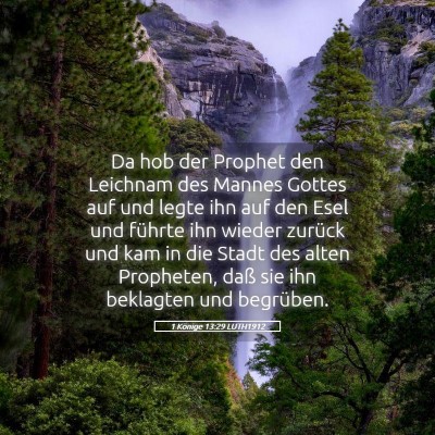 Picture 05 - 1 Könige 13:29 LUTH1912 - Da hob der Prophet den Leichnam des Mannes Gottes - Bible Verse Picture