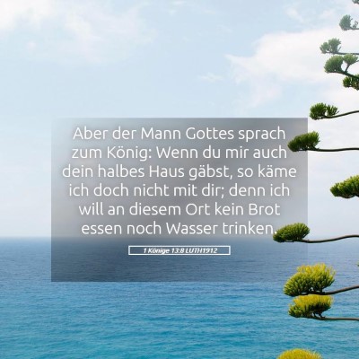 Picture 05 - 1 Könige 13:8 LUTH1912 - Aber der Mann Gottes sprach zum König: Wenn du - Bible Verse Picture