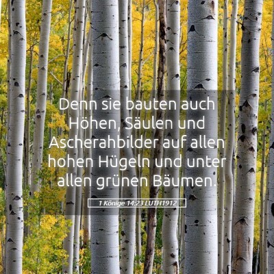 Picture 05 - 1 Könige 14:23 LUTH1912 - Denn sie bauten auch Höhen, Säulen und - Bible Verse Picture