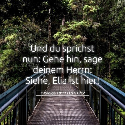 Picture 05 - 1 Könige 18:11 LUTH1912 - Und du sprichst nun: Gehe hin, sage deinem Herrn: - Bible Verse Picture