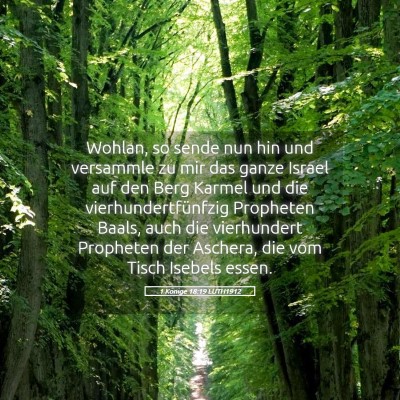 Picture 05 - 1 Könige 18:19 LUTH1912 - Wohlan, so sende nun hin und versammle zu mir das - Bible Verse Picture