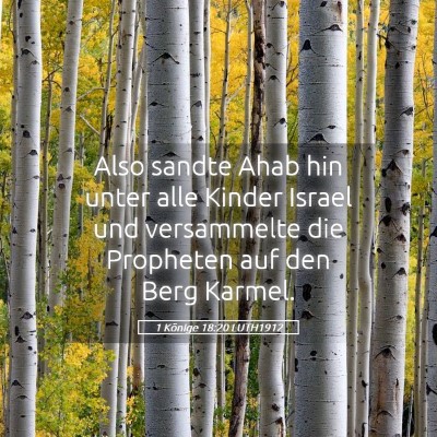 Picture 05 - 1 Könige 18:20 LUTH1912 - Also sandte Ahab hin unter alle Kinder Israel und - Bible Verse Picture
