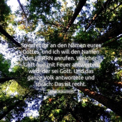 Picture 05 - 1 Könige 18:24 LUTH1912 - So rufet ihr an den Namen eures Gottes, und ich - Bible Verse Picture