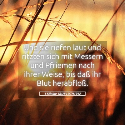 Picture 05 - 1 Könige 18:28 LUTH1912 - Und sie riefen laut und ritzten sich mit Messern - Bible Verse Picture