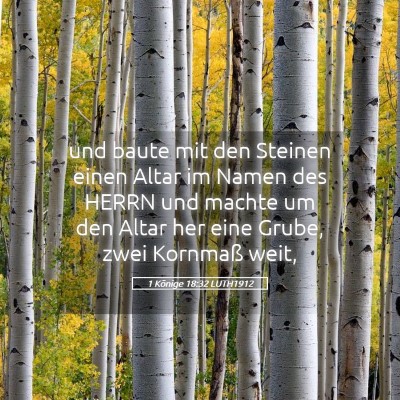 Picture 05 - 1 Könige 18:32 LUTH1912 - und baute mit den Steinen einen Altar im Namen - Bible Verse Picture