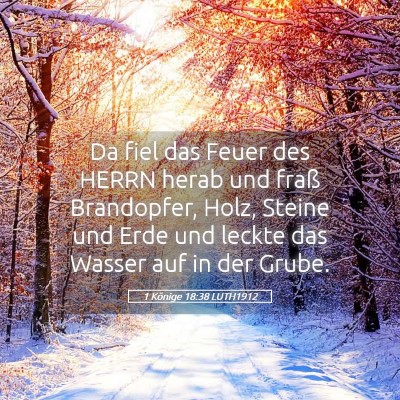 Picture 05 - 1 Könige 18:38 LUTH1912 - Da fiel das Feuer des HERRN herab und fraß - Bible Verse Picture