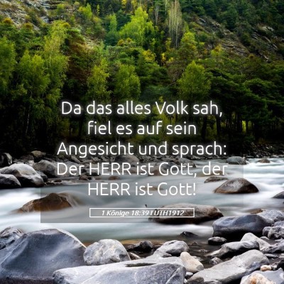 Picture 05 - 1 Könige 18:39 LUTH1912 - Da das alles Volk sah, fiel es auf sein Angesicht - Bible Verse Picture