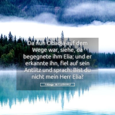 Picture 05 - 1 Könige 18:7 LUTH1912 - Da nun Obadja auf dem Wege war, siehe, da - Bible Verse Picture