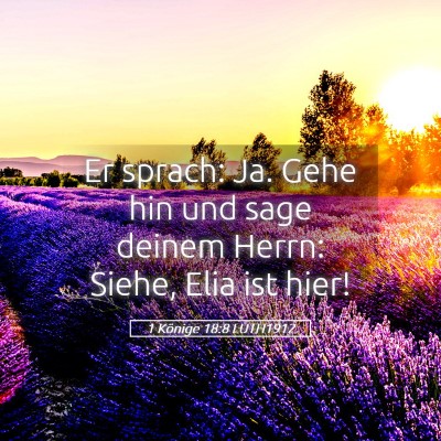 Picture 05 - 1 Könige 18:8 LUTH1912 - Er sprach: Ja. Gehe hin und sage deinem Herrn: - Bible Verse Picture